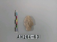 藏品(帶鋌打製石鏃)的圖片